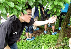 遠藤食品株式会社研修旅行