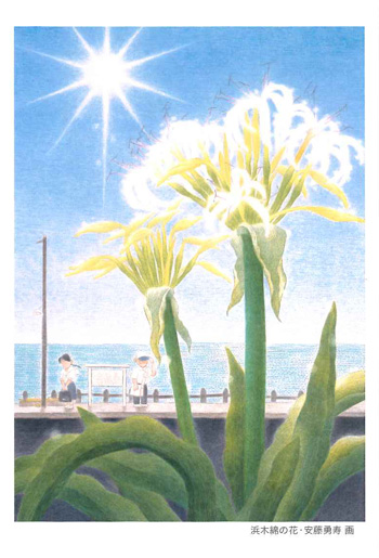 浜木綿の花