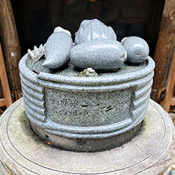 漬物まつり（香の物祭）参拝