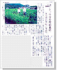 2008年9月9日 下野新聞