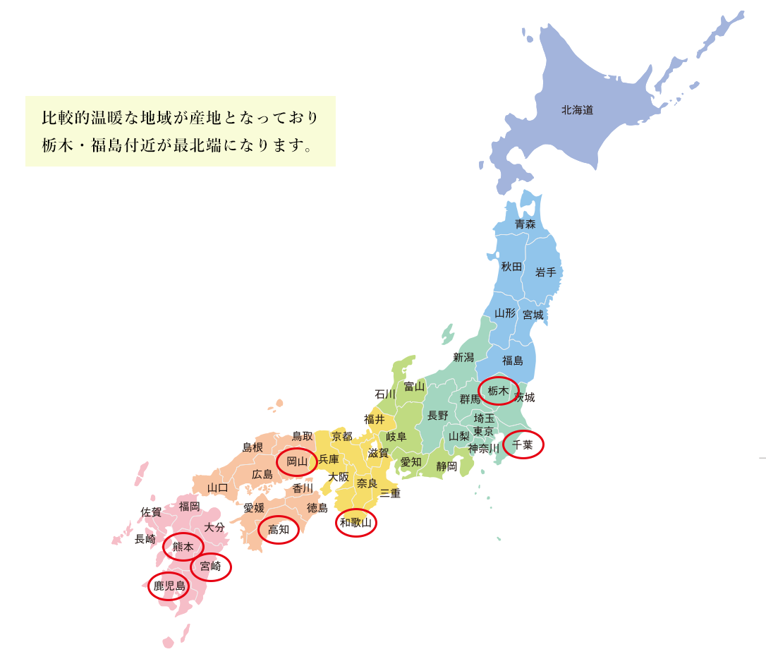 国産生姜の産地